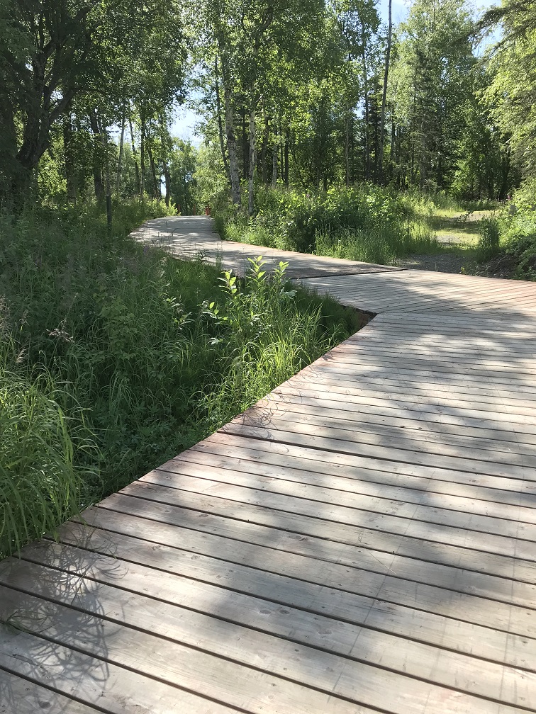 Boardwalk Lake Lucile Campground, RV Wasilla Alaska